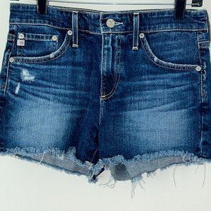 Ag Adriano Goldschmied The Bryn ex-boyfriend cut-off shorts sz 25 NWOT
